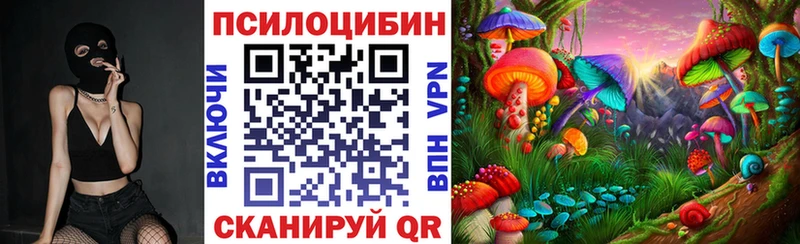 купить закладку  Пятигорск  Галлюциногенные грибы мухоморы 